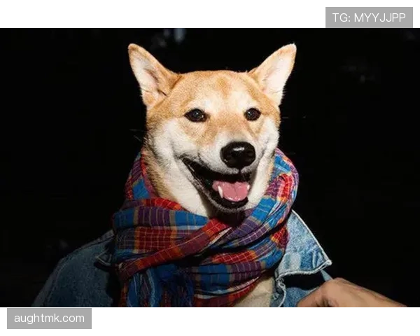 李小鹏家的狗吃的都比我一个月工资高